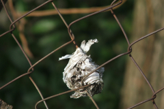 Rome-wekeend-Cassino-108