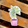 Fiddle-Leaf Fig Sticker