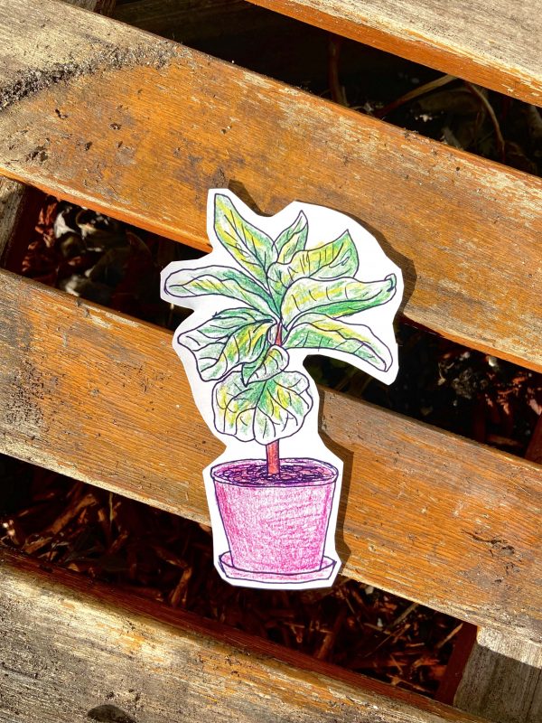 Fiddle-Leaf Fig Sticker
