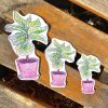 Fiddle-Leaf Fig Sticker - Image 2