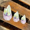Bunny Ear Cactus Sticker - Image 2
